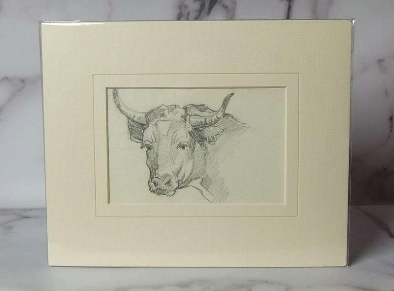 An original pencil sketch by international artist Hedwig Brecher Eibuschitz " bull study "