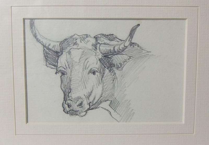 An original pencil sketch by international artist Hedwig Brecher Eibuschitz " bull study "