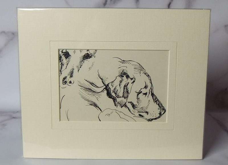 An original ink sketch by international artist Hedwig Brecher Eibuschitz " dog study "