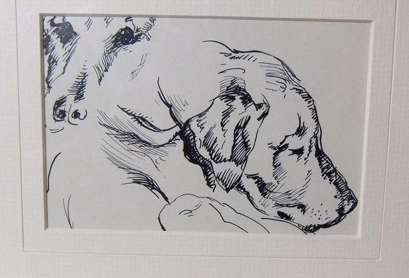 An original ink sketch by international artist Hedwig Brecher Eibuschitz " dog study "