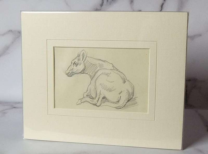 An original pencil sketch by international artist Hedwig Brecher Eibuschitz " cow study "