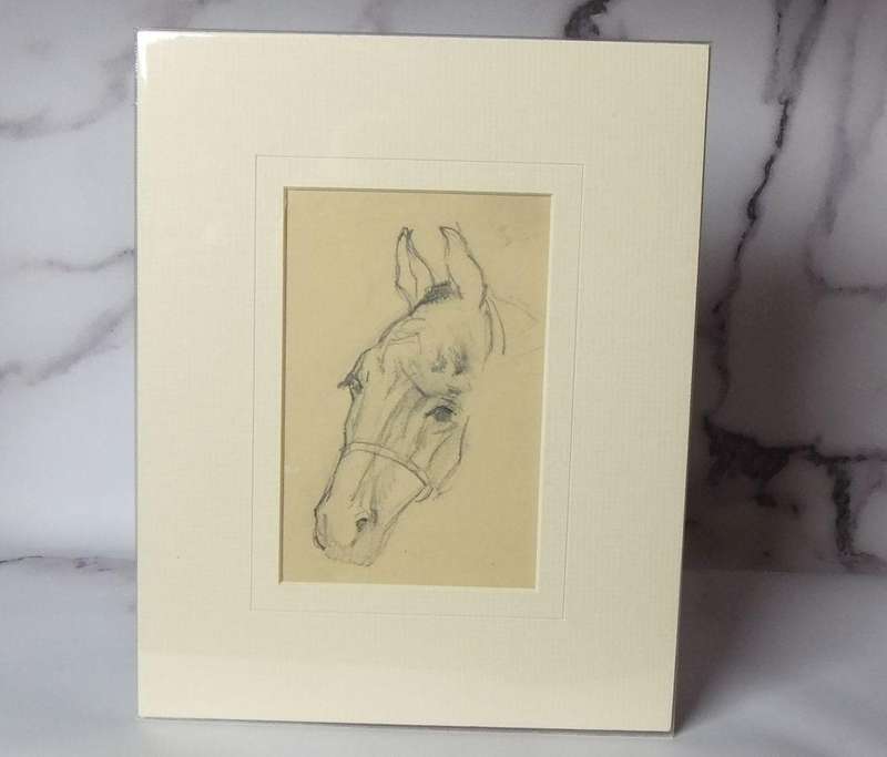 An original pencil sketch by international artist Hedwig Brecher Eibuschitz " horse study "