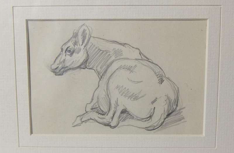 An original pencil sketch by international artist Hedwig Brecher Eibuschitz " cow study "