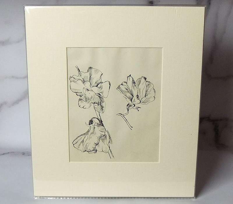 An original ink sketch by international artist Hedwig Brecher Eibuschitz " botanical study "