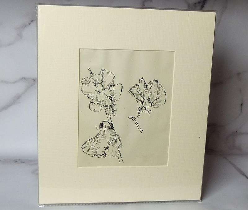 An original ink sketch by international artist Hedwig Brecher Eibuschitz " botanical study "