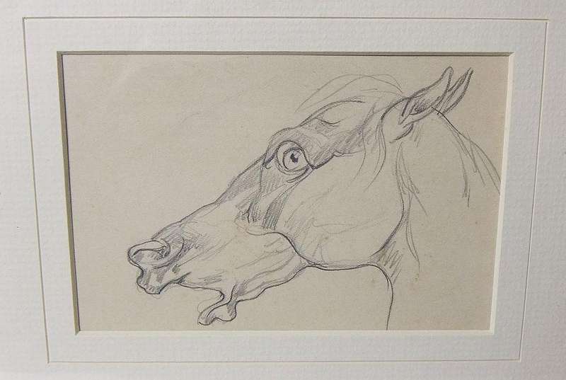 An original pencil sketch by international artist Hedwig Brecher Eibuschitz " horse study "