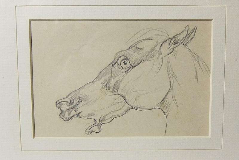 An original pencil sketch by international artist Hedwig Brecher Eibuschitz " horse study "