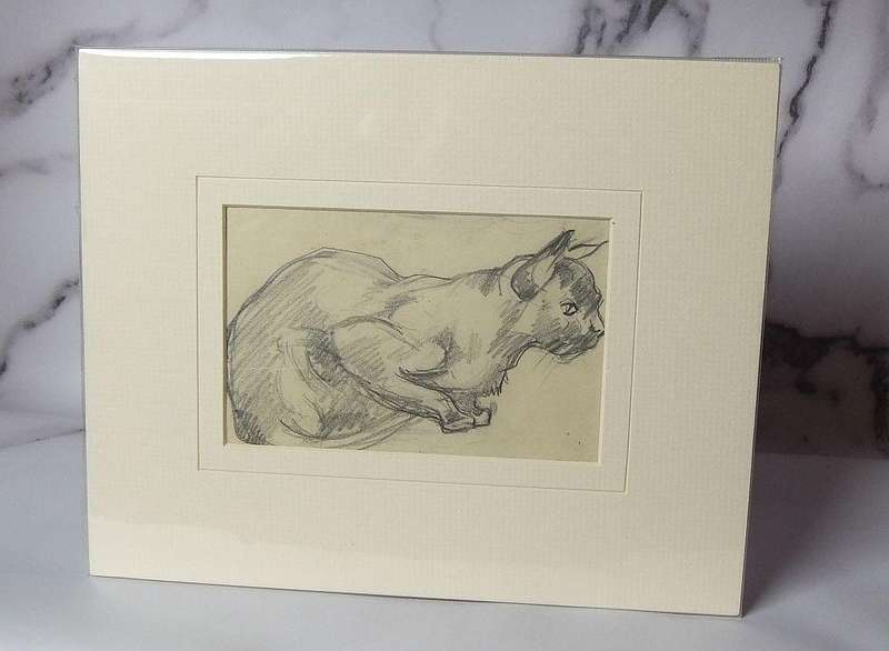 An original pencil sketch by international artist Hedwig Brecher Eibuschitz " cat study "