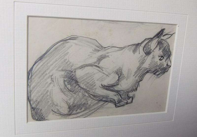 An original pencil sketch by international artist Hedwig Brecher Eibuschitz " cat study "