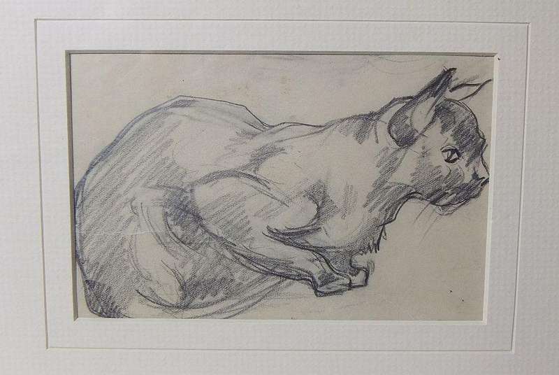 An original pencil sketch by international artist Hedwig Brecher Eibuschitz " cat study "