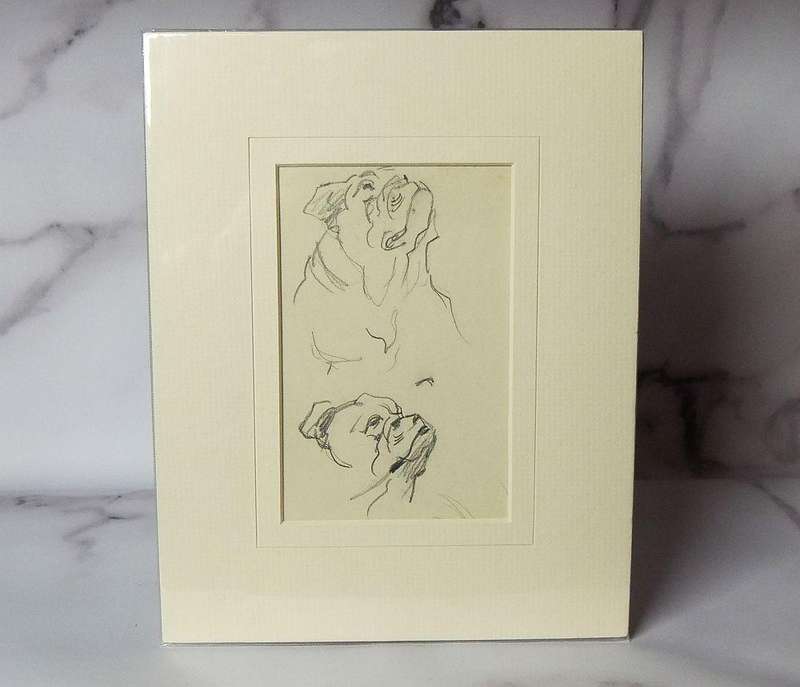 An original pencil sketch by international artist Hedwig Brecher Eibuschitz " Bulldog study "