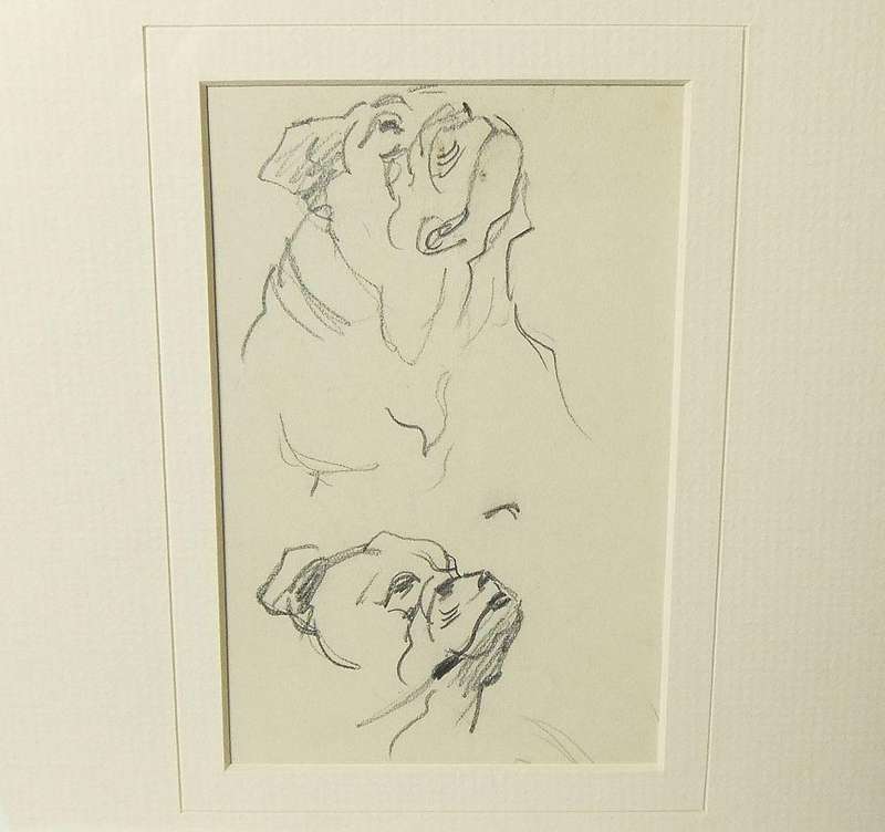 An original pencil sketch by international artist Hedwig Brecher Eibuschitz " Bulldog study "