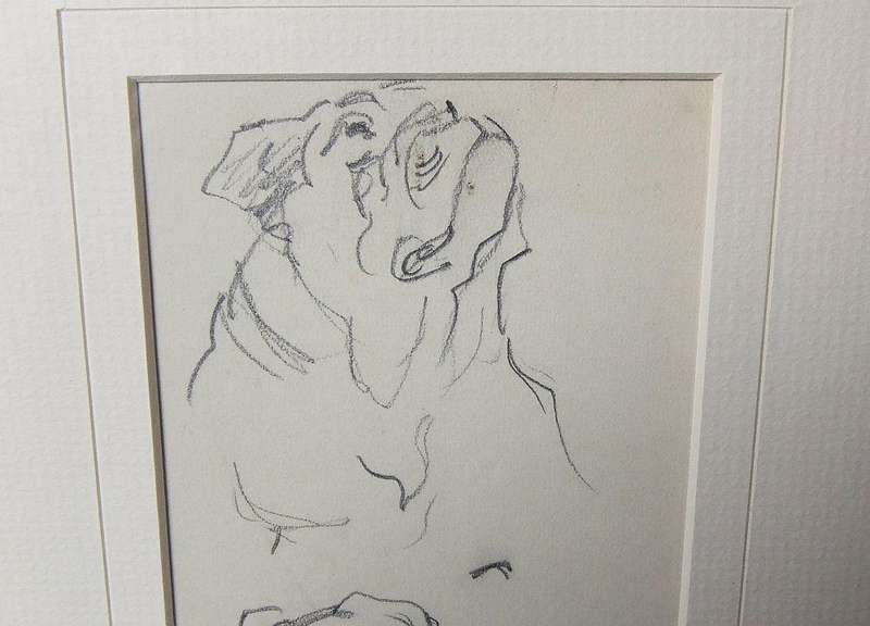 An original pencil sketch by international artist Hedwig Brecher Eibuschitz " Bulldog study "