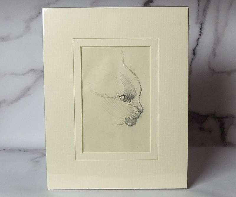 An original pencil sketch by international artist Hedwig Brecher Eibuschitz " cat study "