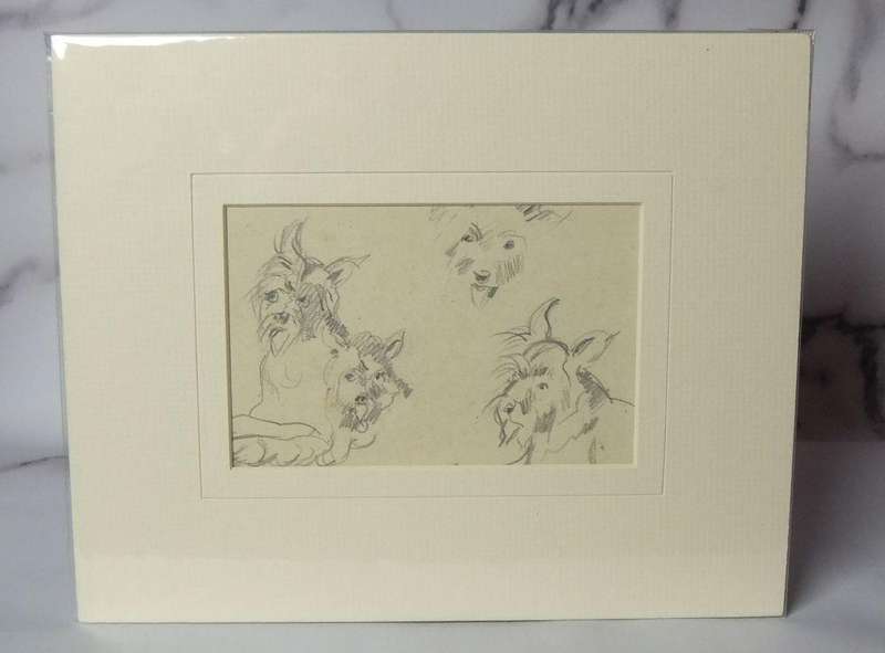 An original pencil sketch by international artist Hedwig Brecher Eibuschitz " dog study "