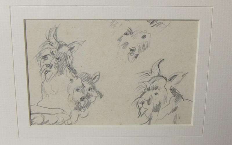 An original pencil sketch by international artist Hedwig Brecher Eibuschitz " dog study "