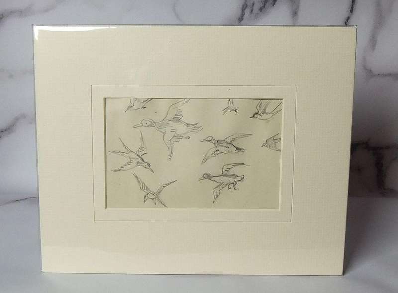 An original pencil sketch by international artist Hedwig Brecher Eibuschitz " bird study "