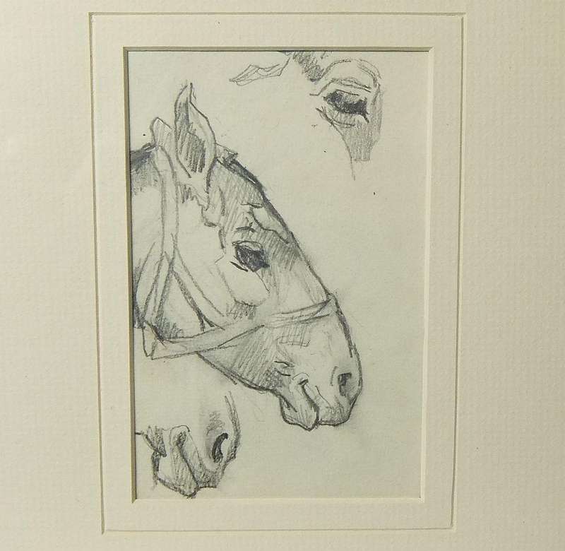 An original pencil sketch by international artist Hedwig Brecher Eibuschitz " horse study "