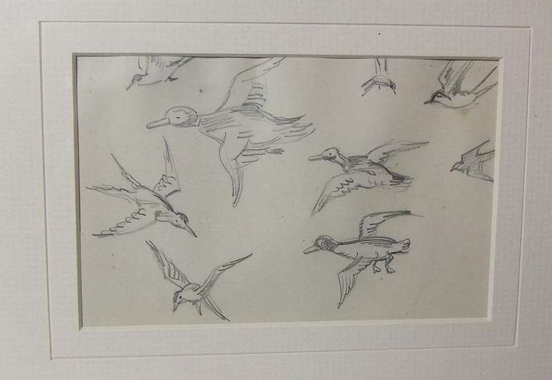 An original pencil sketch by international artist Hedwig Brecher Eibuschitz " bird study "