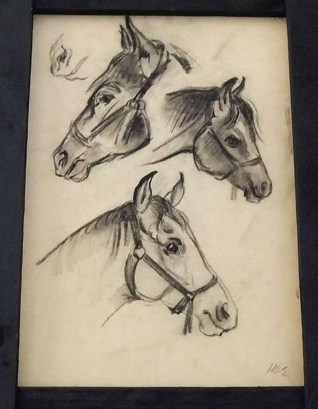 An original pencil sketch by international artist Hedwig Brecher Eibuschitz " horse study "