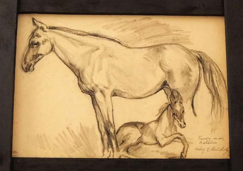 An original pencil sketch by international artist Hedwig Brecher Eibuschitz " horse study "