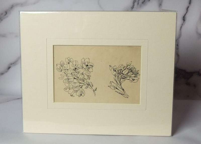 An original ink sketch by international artist Hedwig Brecher Eibuschitz " botanical study "