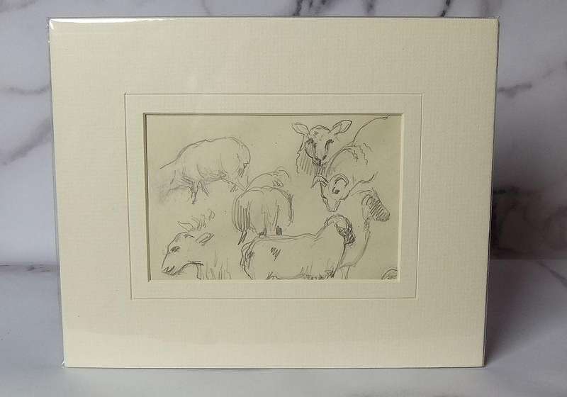 An original pencil sketch by international artist Hedwig Brecher Eibuschitz " animal study "