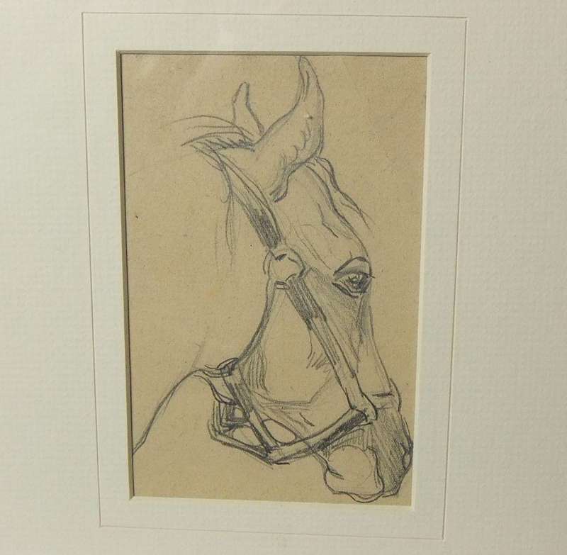 An original pencil sketch by international artist Hedwig Brecher Eibuschitz " horse study "