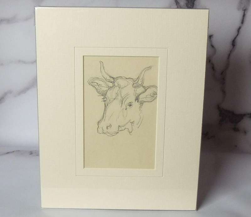 An original pencil sketch by international artist Hedwig Brecher Eibuschitz " cow study "