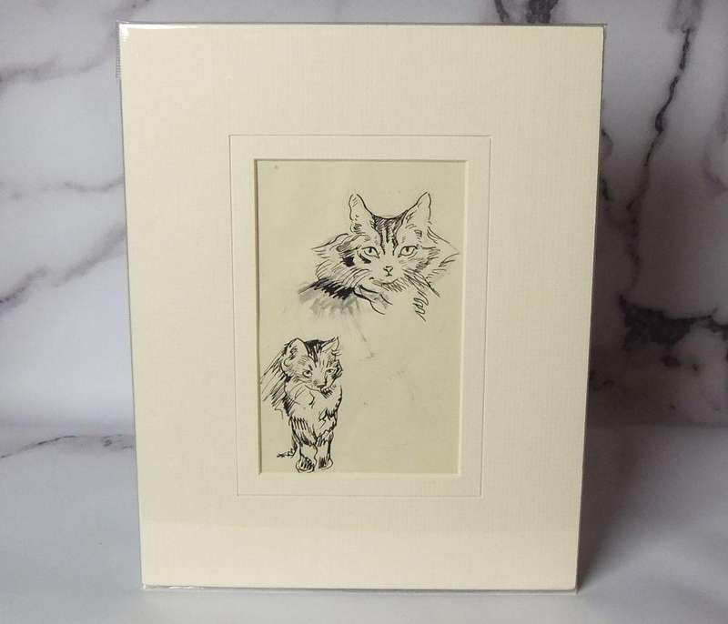 An original ink & pencil sketch by international artist Hedwig Brecher Eibuschitz " cat study "