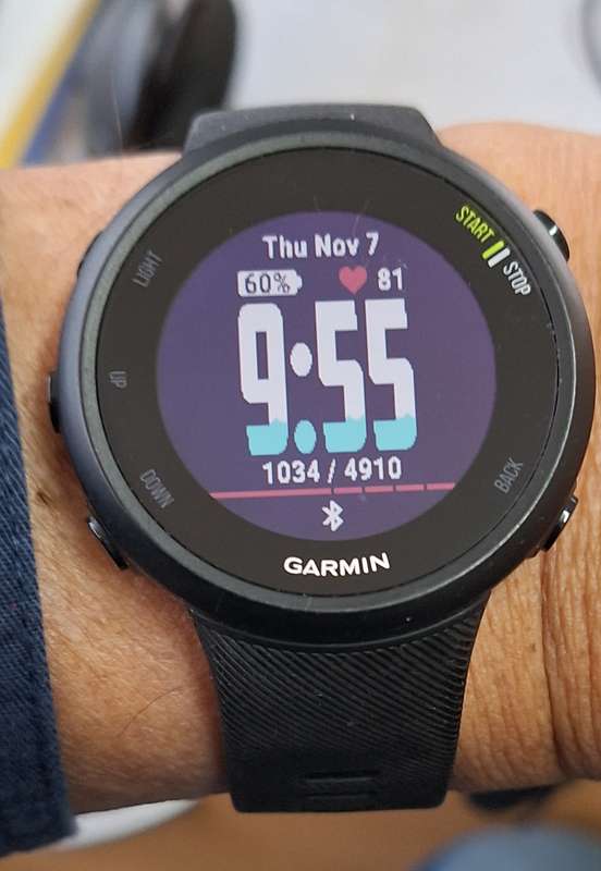Garmin Forerunner 45