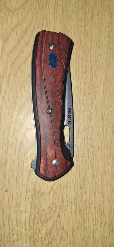 Buck 346 Vantage Avid Large Folding knife