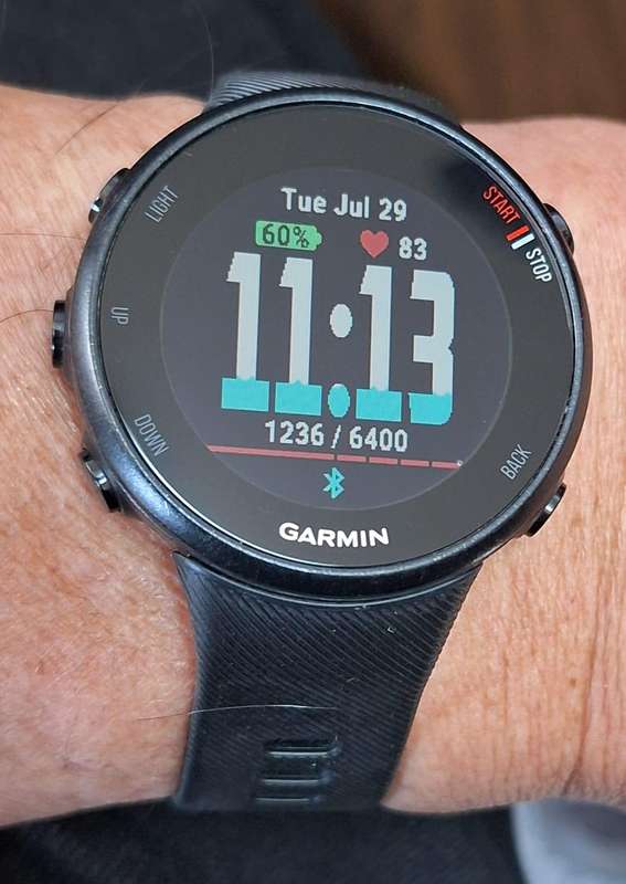 Garmin Forerunner 45s