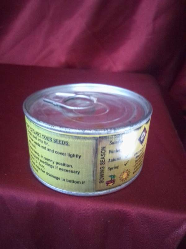 Sealed Parsley Grow Tin