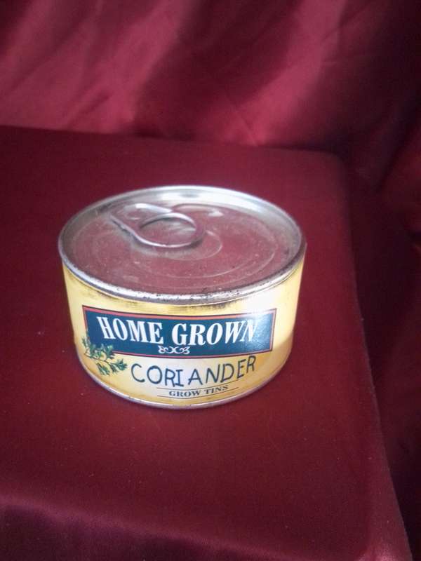 Sealed Coriander Grow Tin