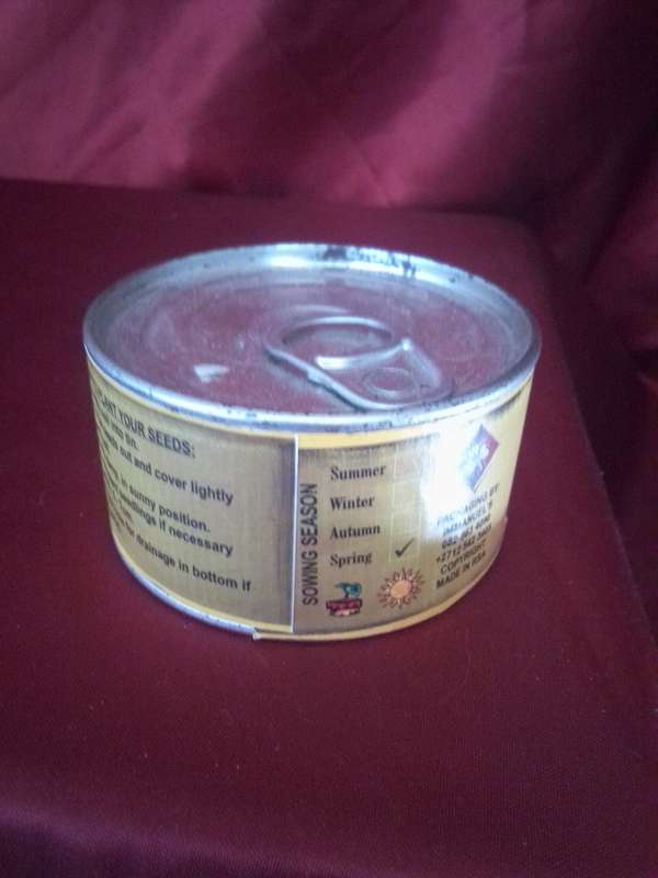Sealed Coriander Grow Tin