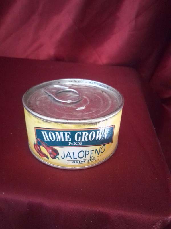 Sealed Jalapeno Grow Tin
