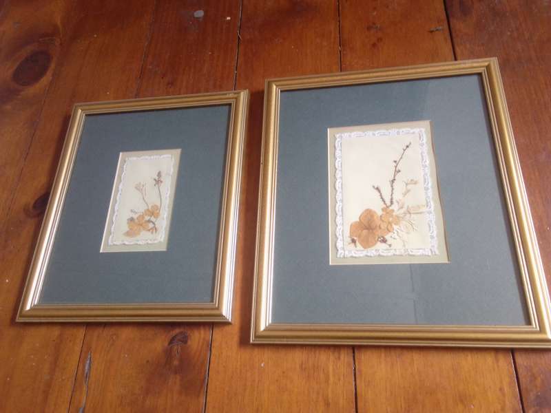 Beautifully Framed Embroidery / Dried Flowers Artwork