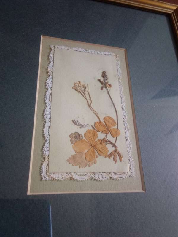 Beautifully Framed Embroidery / Dried Flowers Artwork