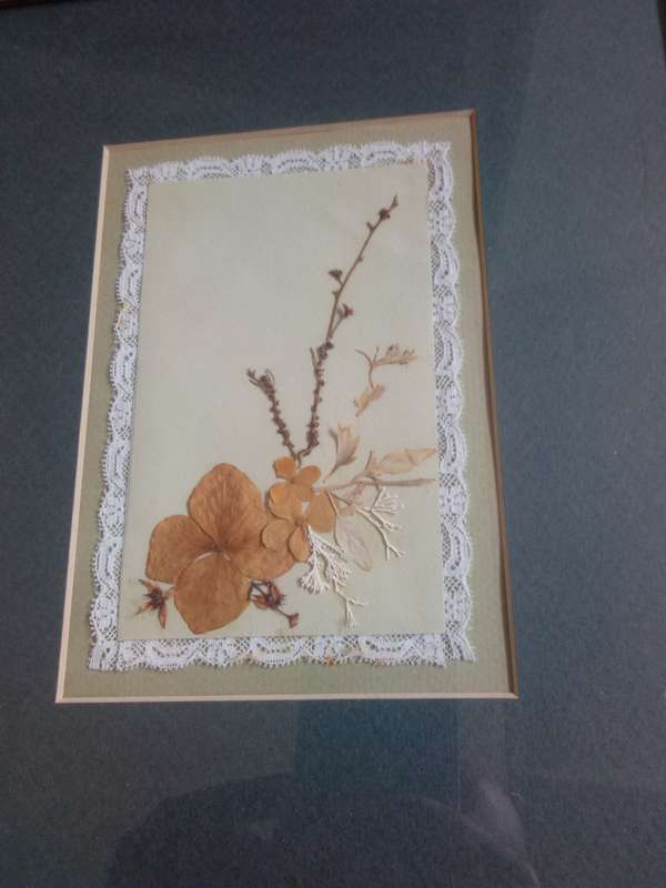 Beautifully Framed Embroidery / Dried Flowers Artwork
