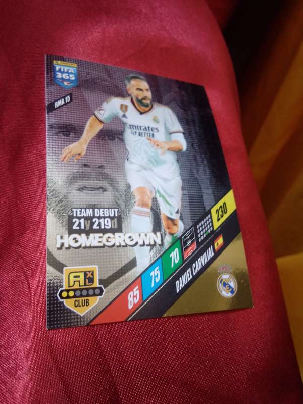 Panini FIFA 365 2024 Silver Foil Trading Card