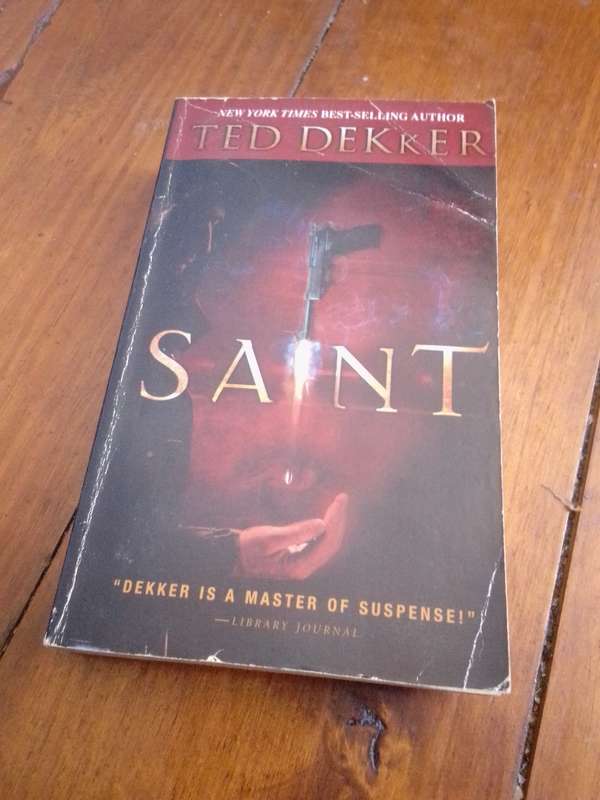 SAINT - Ted Dekker 2006 Paperback