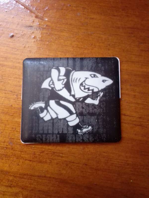 Sharks Fridge Magnet