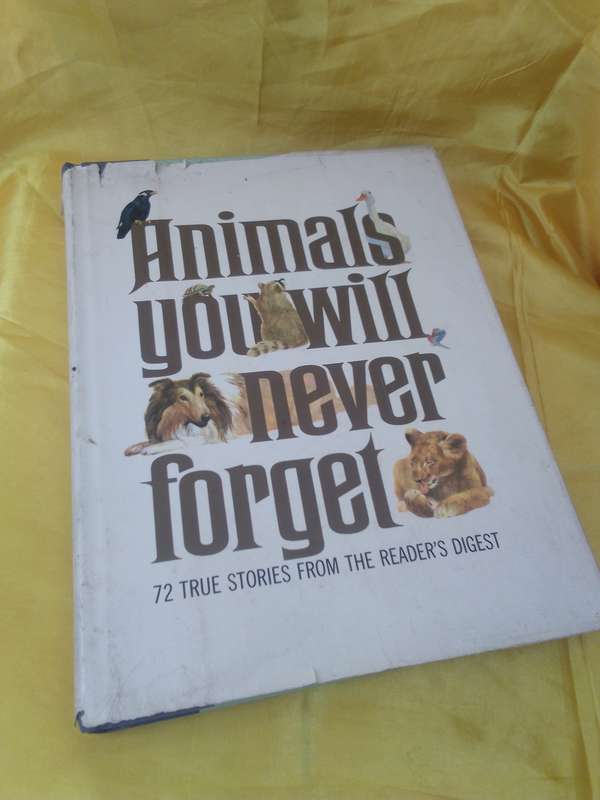 Animals you will never forget - 72 True Stories 1969 Hardcover
