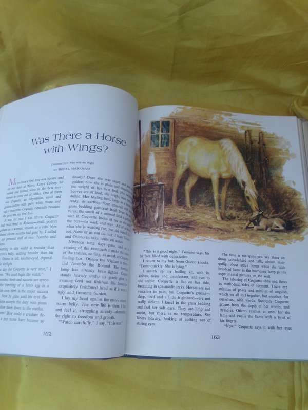 Animals you will never forget - 72 True Stories 1969 Hardcover