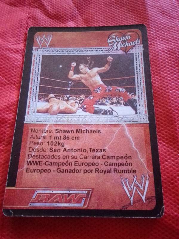 WWE RAW 'SHAWN MICHAELS' TRADING CARD