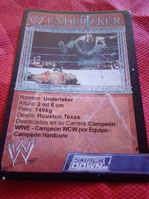 WWE SMACKDOWN 'THE UNDERTAKER' TRADING CARD