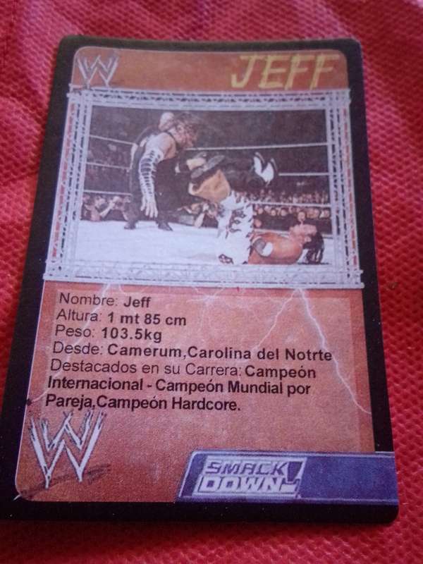 WWE SMACKDOWN 'JEFF' TRADING CARD