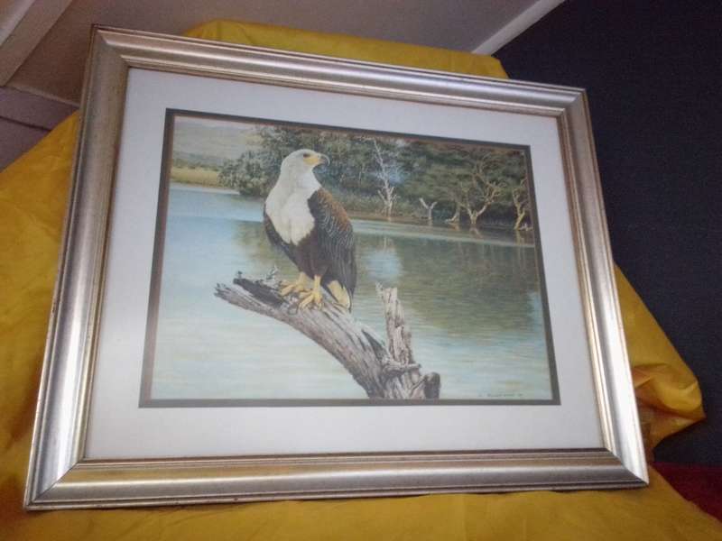 Stunning SA Artist Ronald Cook "Fish Eagle" Print Signed & Dated 89