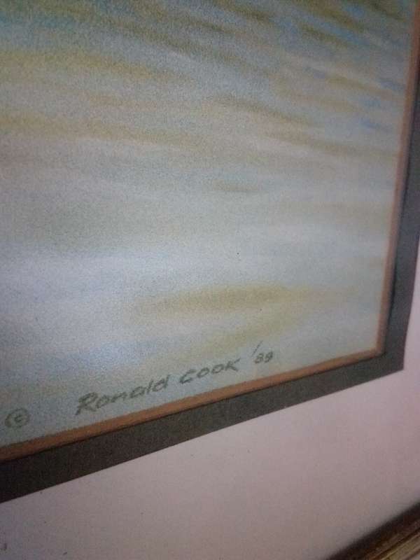 Stunning SA Artist Ronald Cook "Fish Eagle" Print Signed & Dated 89